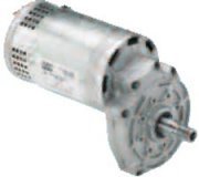 Series MRI Series MRI