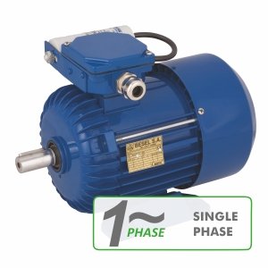 Jednofázové indukční elektromotory